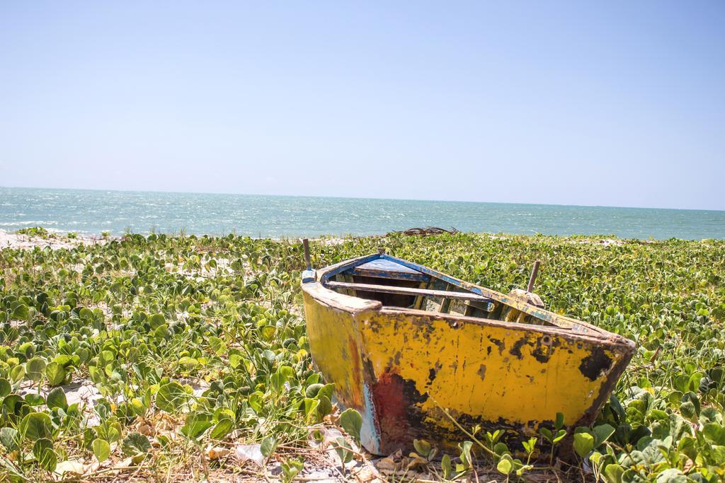 Pousada Nossa Ilha Ilha de Itamaraca Ngoại thất bức ảnh